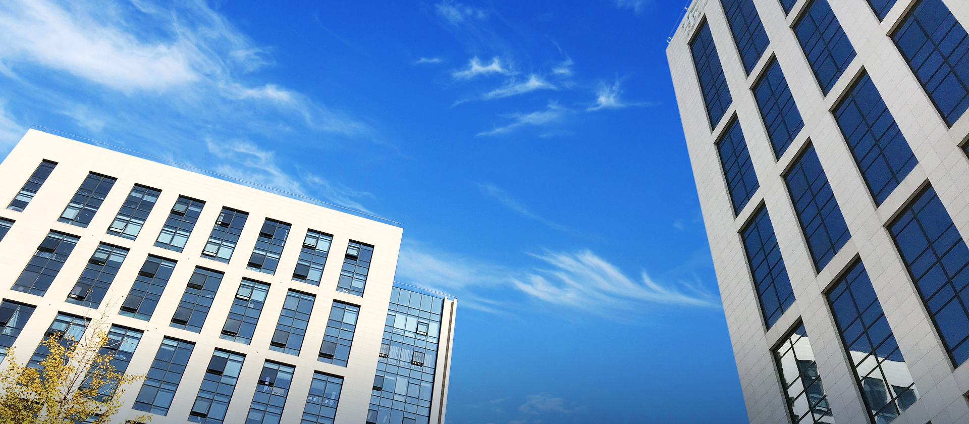 脚踏实地，心存高远